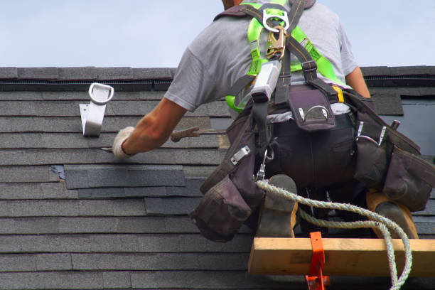 Best Roof Gutter Cleaning  in Moose Lake, MN
